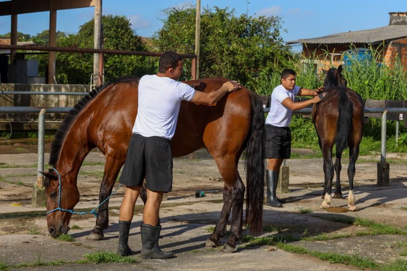  <div class='credito_fotos'>Foto: David Alves / Ag Pará   |   <a href='/midias/2023/originais/16430_03310f7b-bc93-e4d7-4fc8-8e4e1482f5d0.jpg' download><i class='fa-solid fa-download'></i> Download</a></div>