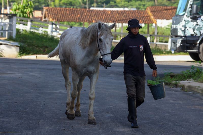  <div class='credito_fotos'>Foto: David Alves / Ag Pará   |   <a href='/midias/2023/originais/16430_2ff04881-7209-d0b7-9bfb-bbc55edea913.jpg' download><i class='fa-solid fa-download'></i> Download</a></div>