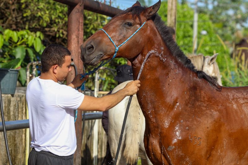 <div class='credito_fotos'>Foto: David Alves / Ag Pará   |   <a href='/midias/2023/originais/16430_40a425df-9cef-7766-8bf0-305da2066760.jpg' download><i class='fa-solid fa-download'></i> Download</a></div>