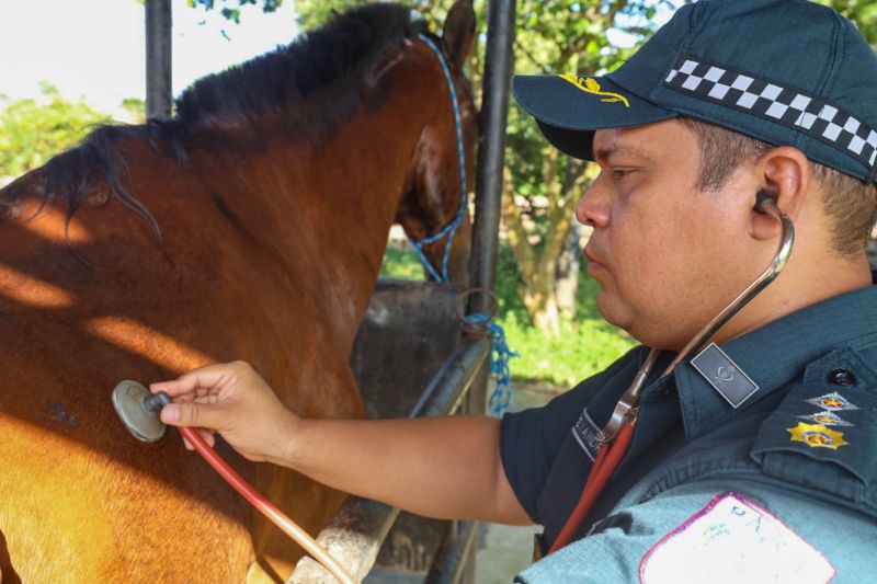  <div class='credito_fotos'>Foto: David Alves / Ag Pará   |   <a href='/midias/2023/originais/16430_75a929d7-ac2a-ea01-5a68-a20276c26754.jpg' download><i class='fa-solid fa-download'></i> Download</a></div>
