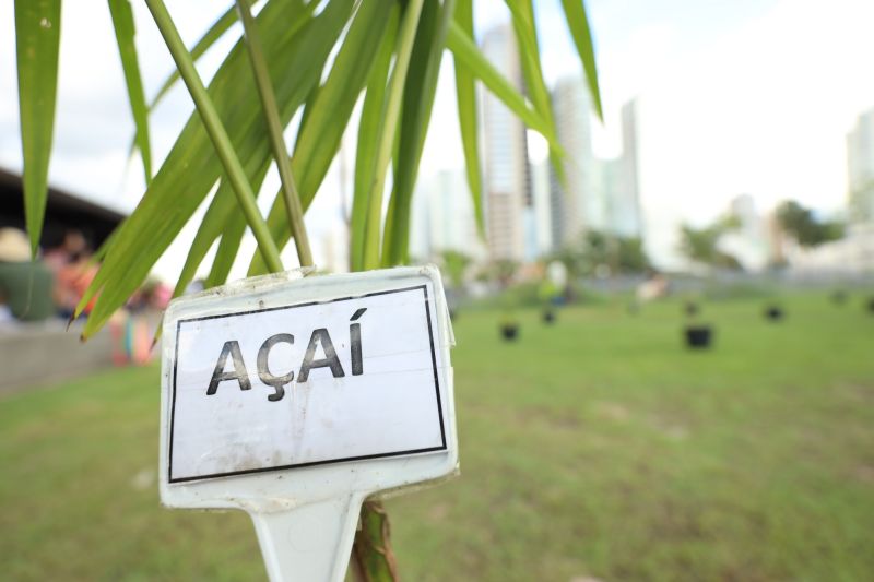  <div class='credito_fotos'>Foto: Bruno Cecim / Ag.Pará   |   <a href='/midias/2023/originais/16450_01f599ab-0084-91cf-25c8-4864f732286e.jpg' download><i class='fa-solid fa-download'></i> Download</a></div>