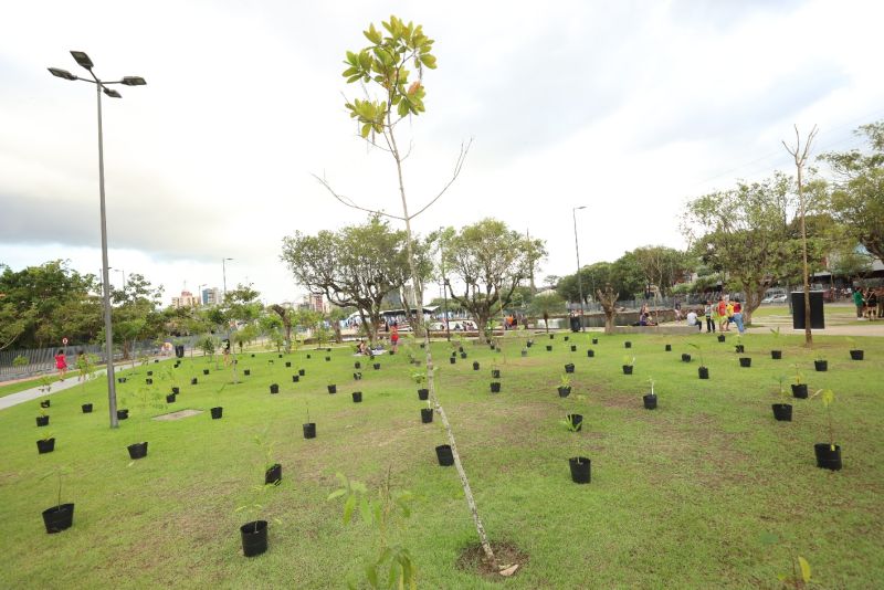  <div class='credito_fotos'>Foto: Bruno Cecim / Ag.Pará   |   <a href='/midias/2023/originais/16450_b07744d1-367d-5735-d574-3f43eb80c740.jpg' download><i class='fa-solid fa-download'></i> Download</a></div>