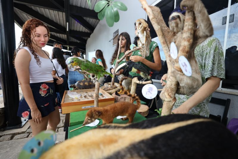  <div class='credito_fotos'>Foto: Bruno Cecim / Ag.Pará   |   <a href='/midias/2023/originais/16450_f0de5e80-d667-c617-7325-1812db9f0672.jpg' download><i class='fa-solid fa-download'></i> Download</a></div>