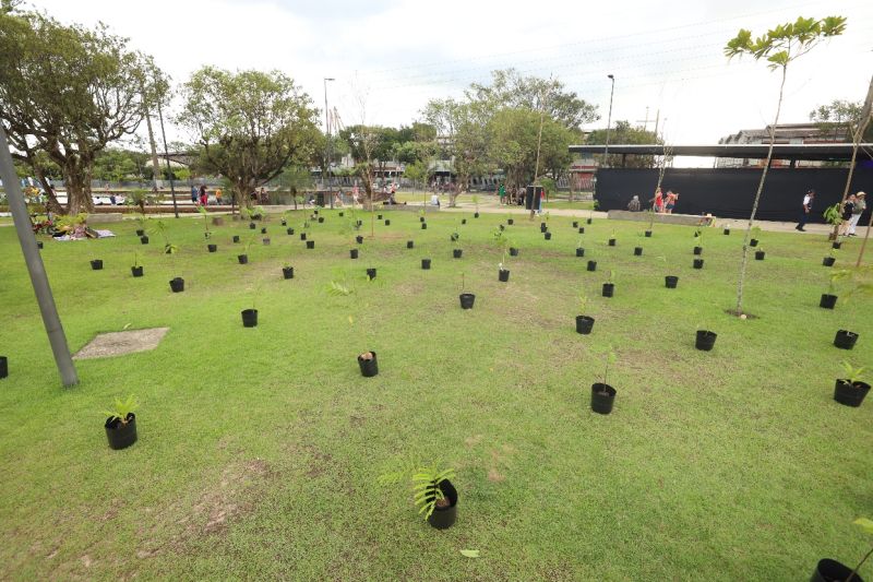  <div class='credito_fotos'>Foto: Bruno Cecim / Ag.Pará   |   <a href='/midias/2023/originais/16450_ffd7e9ed-19db-f48e-6e43-b685abe8a916.jpg' download><i class='fa-solid fa-download'></i> Download</a></div>
