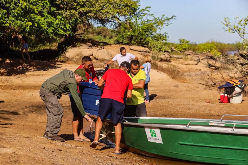  <div class='credito_fotos'>Foto: David Alves / Ag.Pará   |   <a href='/midias/2023/originais/16470_4fb82d2b-25d4-b382-31f9-52b927545206.jpg' download><i class='fa-solid fa-download'></i> Download</a></div>