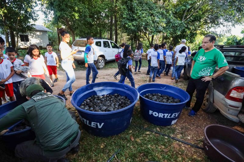  <div class='credito_fotos'>Foto: David Alves / Ag.Pará   |   <a href='/midias/2023/originais/16470_814ddce4-bdb9-7d38-6cd9-bbae646324f4.jpg' download><i class='fa-solid fa-download'></i> Download</a></div>