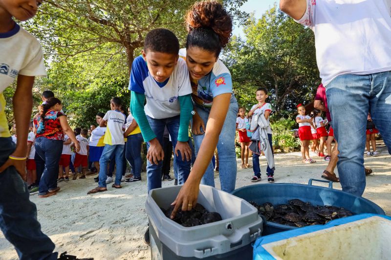  <div class='credito_fotos'>Foto: David Alves / Ag.Pará   |   <a href='/midias/2023/originais/16470_aa55b6a4-1838-996e-a401-9321e2992dfd.jpg' download><i class='fa-solid fa-download'></i> Download</a></div>