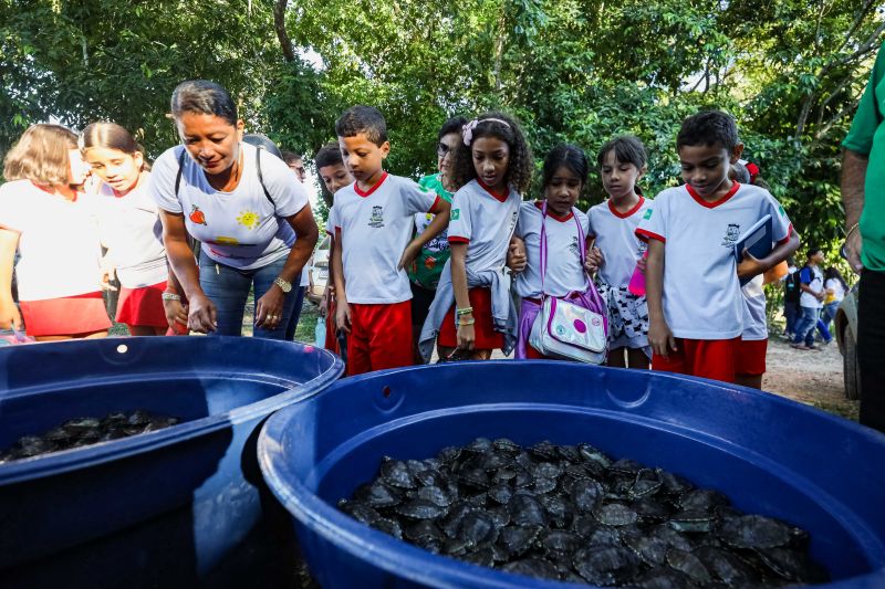  <div class='credito_fotos'>Foto: David Alves / Ag.Pará   |   <a href='/midias/2023/originais/16470_cbe1dd1e-0542-555e-ddf7-33aa082051ee.jpg' download><i class='fa-solid fa-download'></i> Download</a></div>