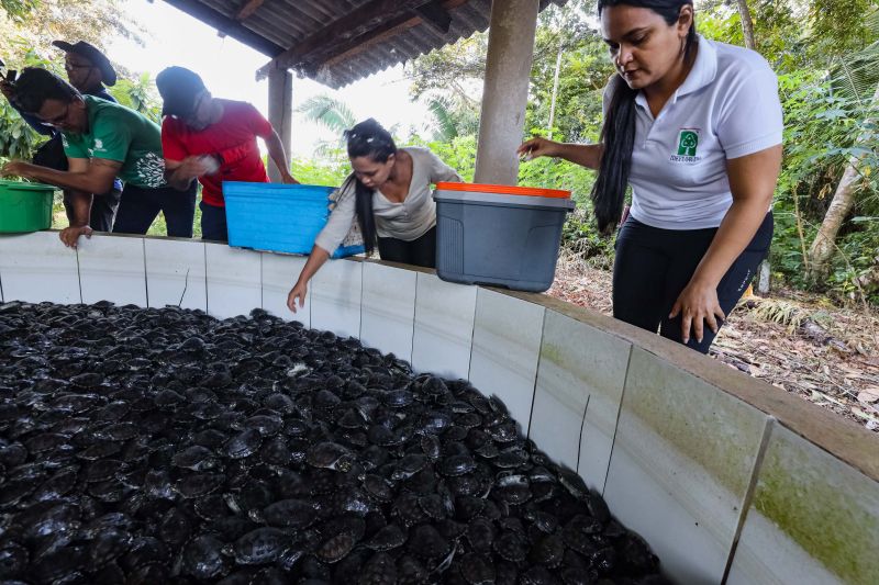  <div class='credito_fotos'>Foto: David Alves / Ag.Pará   |   <a href='/midias/2023/originais/16470_dbaac1bb-3388-0e10-d9c6-5d0b7b8c4cda.jpg' download><i class='fa-solid fa-download'></i> Download</a></div>
