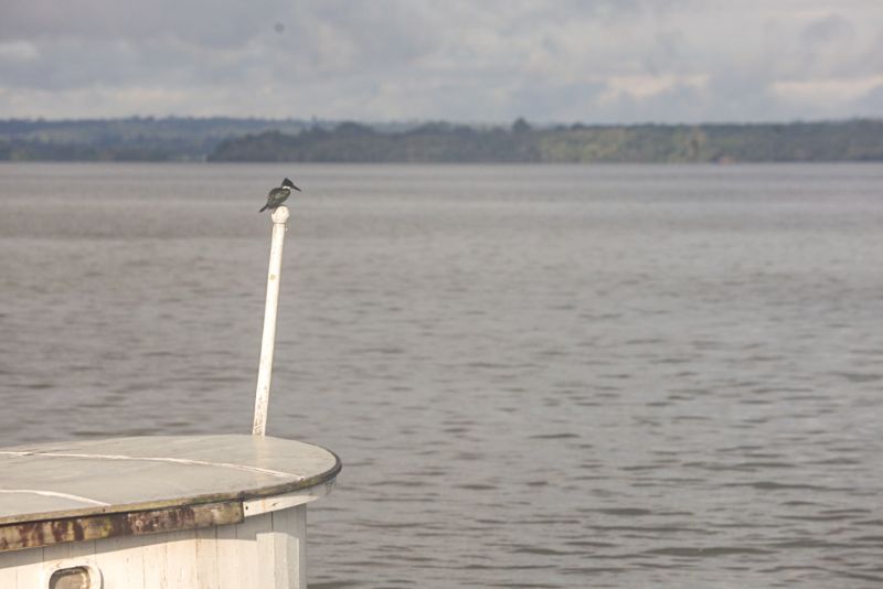  <div class='credito_fotos'>Foto: Pedro Guerreiro / Ag. Pará   |   <a href='/midias/2023/originais/16508_326e3dae-37b2-a101-39be-3b33184f2486.jpg' download><i class='fa-solid fa-download'></i> Download</a></div>