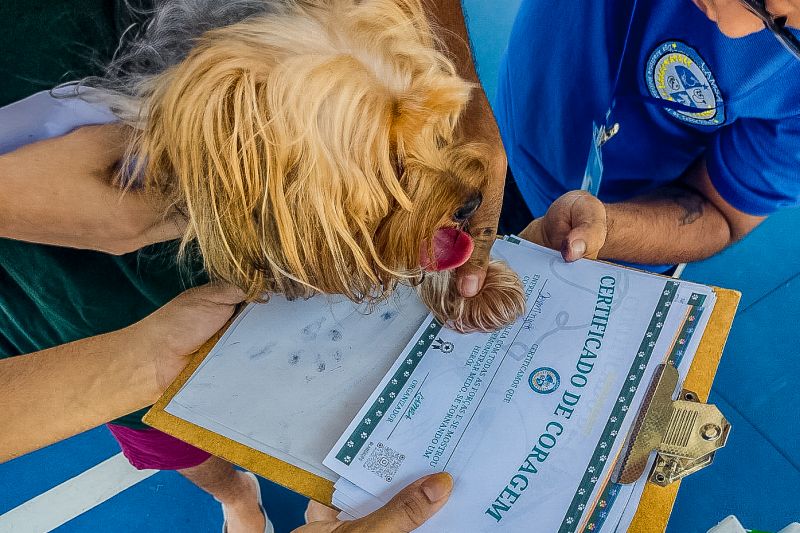  <div class='credito_fotos'>Foto: Victória Monteiro / Nucom Seac   |   <a href='/midias/2023/originais/16521_2114c021-9eb4-e9cf-41b8-92da286f36db.jpg' download><i class='fa-solid fa-download'></i> Download</a></div>