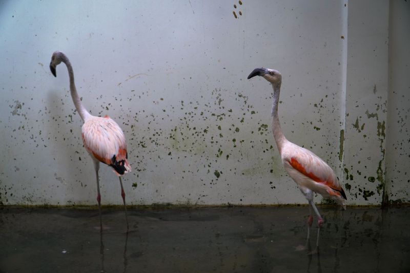  <div class='credito_fotos'>Foto: Marcelo Souza /Ag.Pará   |   <a href='/midias/2023/originais/16561_231e6765-8def-9703-e976-9df28fdbda78.jpg' download><i class='fa-solid fa-download'></i> Download</a></div>