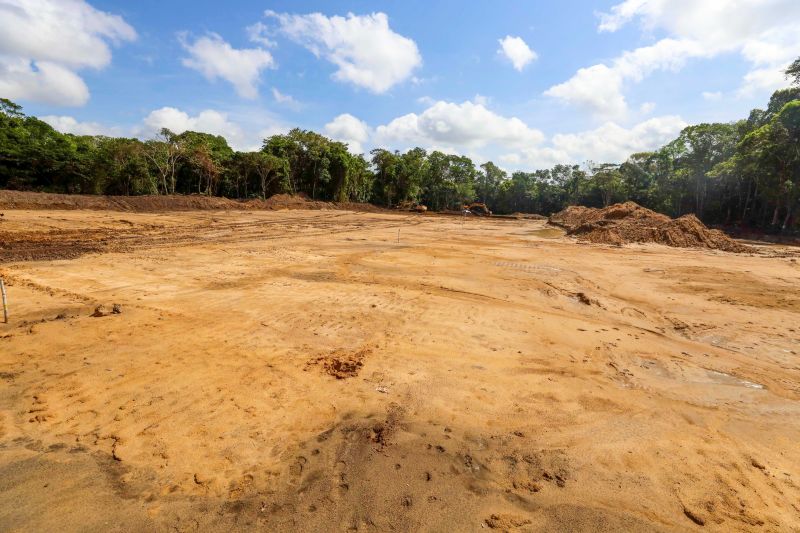 <div class='credito_fotos'>Foto: David Alves / Ag Pará | <a href='/midias/2023/originais/16627_65eef846-17af-b0ca-ce0b-6c2fe26c12f3.jpg' download><i class='fa-solid fa-download'></i> Download</a></div>