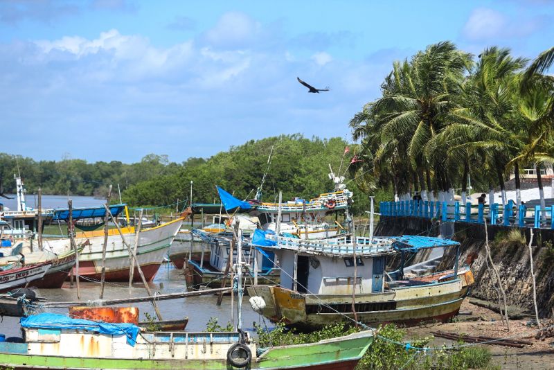 <div class='credito_fotos'>Foto: Bruno Cecim / Ag.Pará | <a href='/midias/2023/originais/16645_0edccf6a-d230-30b9-ea1d-c59b93a974a5.jpg' download><i class='fa-solid fa-download'></i> Download</a></div>
