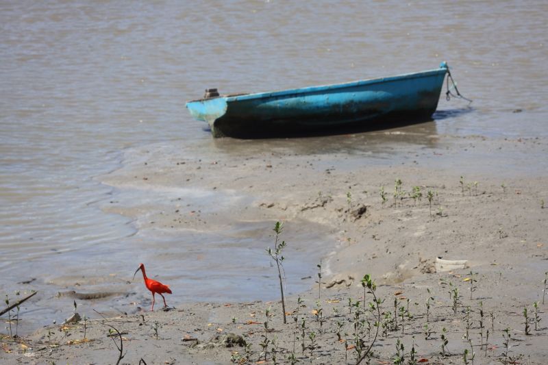<div class='credito_fotos'>Foto: Bruno Cecim / Ag.Pará | <a href='/midias/2023/originais/16645_7032806b-dbe9-b09d-0790-828eeab8296d.jpg' download><i class='fa-solid fa-download'></i> Download</a></div>