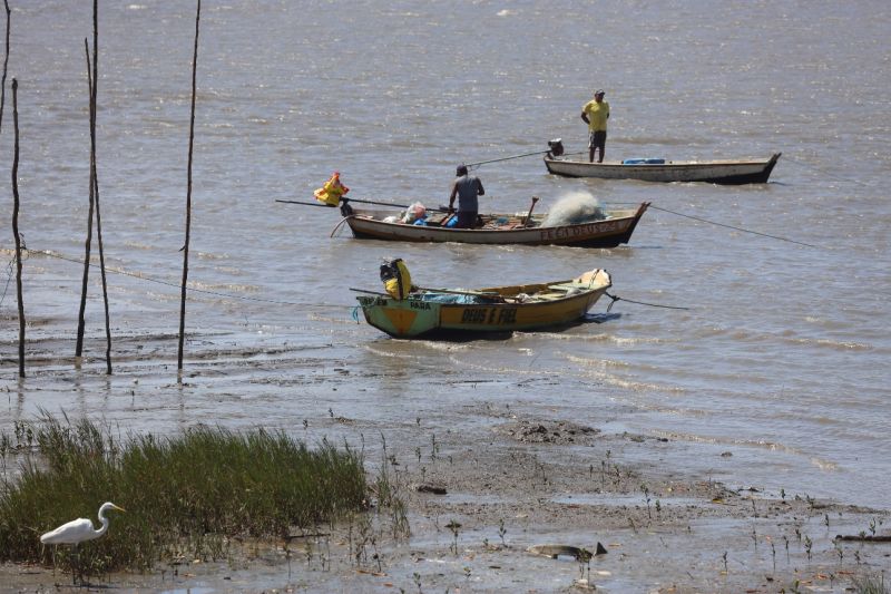 <div class='credito_fotos'>Foto: Bruno Cecim / Ag.Pará | <a href='/midias/2023/originais/16645_fcb3e981-6beb-b4ab-5ad8-287b0bc27f78.jpg' download><i class='fa-solid fa-download'></i> Download</a></div>