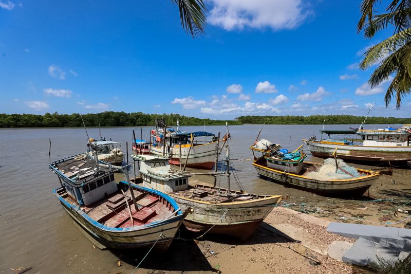  <div class='credito_fotos'>Foto: Marcelo Seabra / Ag. Pará   |   <a href='/midias/2023/originais/16647_1ffbc6a1-5f5a-a995-fab0-95c393a14ec8.jpg' download><i class='fa-solid fa-download'></i> Download</a></div>