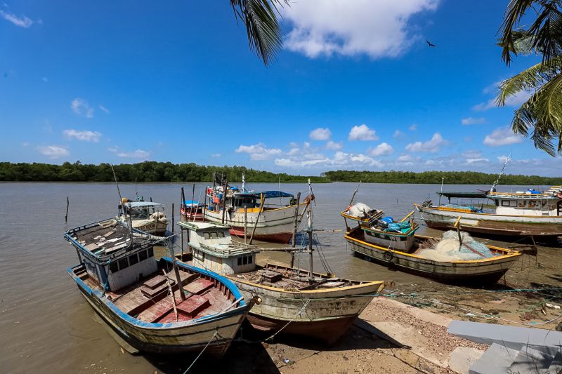  <div class='credito_fotos'>Foto: Marcelo Seabra / Ag. Pará   |   <a href='/midias/2023/originais/16647_b90c81df-3b11-4107-8e66-21fc1cdabfa7.jpg' download><i class='fa-solid fa-download'></i> Download</a></div>