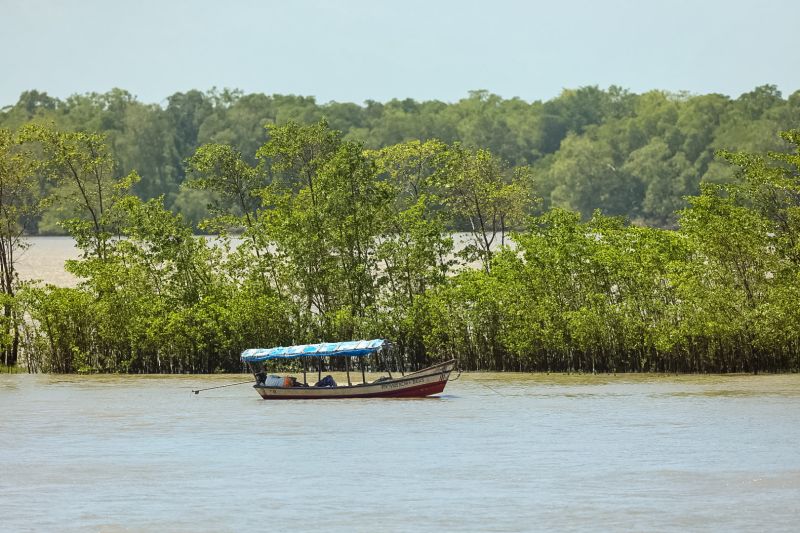  <div class='credito_fotos'>Foto: Marcelo Seabra / Ag. Pará   |   <a href='/midias/2023/originais/16647_f797ba3e-2dd6-e62f-1b53-7a627f34a3a0.jpg' download><i class='fa-solid fa-download'></i> Download</a></div>