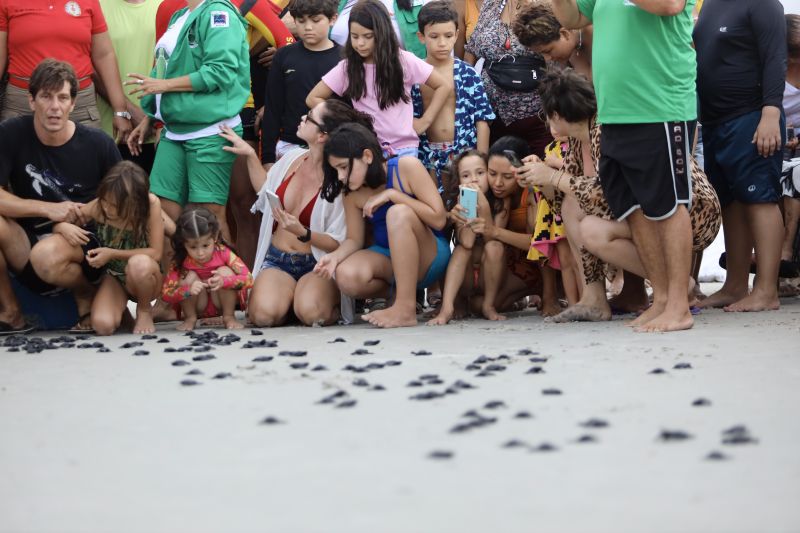  <div class='credito_fotos'>Foto: Rodrigo Pinheiro / Ag.Pará   |   <a href='/midias/2023/originais/16693_9960848e-da4d-2052-4f1d-4493a577577a.jpg' download><i class='fa-solid fa-download'></i> Download</a></div>
