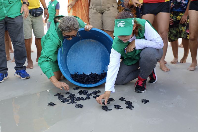  <div class='credito_fotos'>Foto: Rodrigo Pinheiro / Ag.Pará   |   <a href='/midias/2023/originais/16693_c792c96f-9334-3242-799c-c4b63309e386.jpg' download><i class='fa-solid fa-download'></i> Download</a></div>