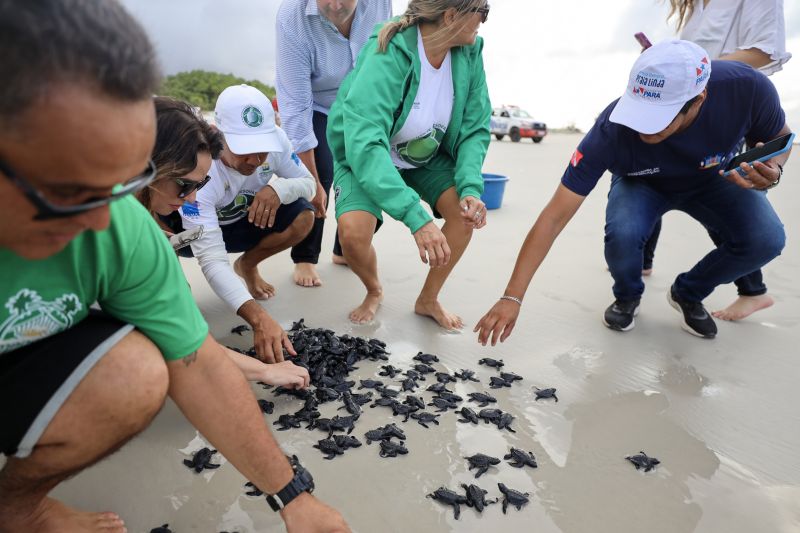  <div class='credito_fotos'>Foto: Rodrigo Pinheiro / Ag.Pará   |   <a href='/midias/2023/originais/16693_c98ce016-3087-9882-96f4-79e16778a20d.jpg' download><i class='fa-solid fa-download'></i> Download</a></div>