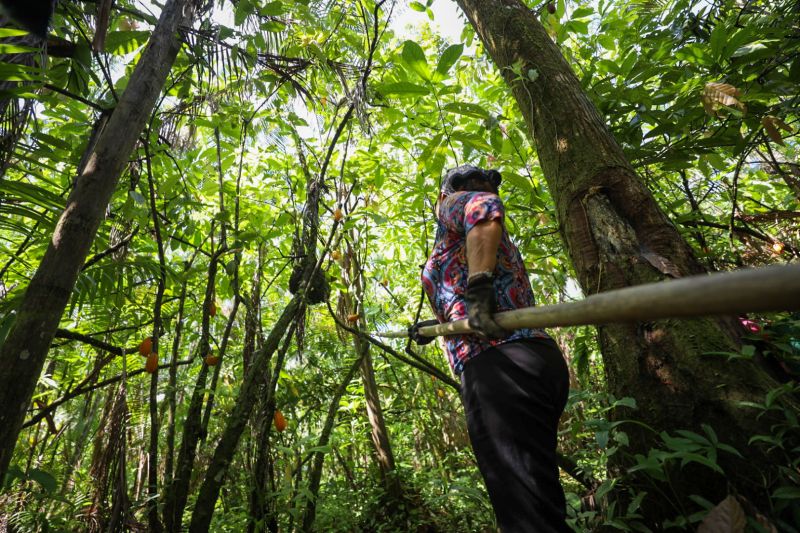  <div class='credito_fotos'>Foto: Pedro Guerreiro / Ag. Pará   |   <a href='/midias/2023/originais/16723_03b731c1-3def-9db8-e6bc-ccac04c60c26.jpg' download><i class='fa-solid fa-download'></i> Download</a></div>