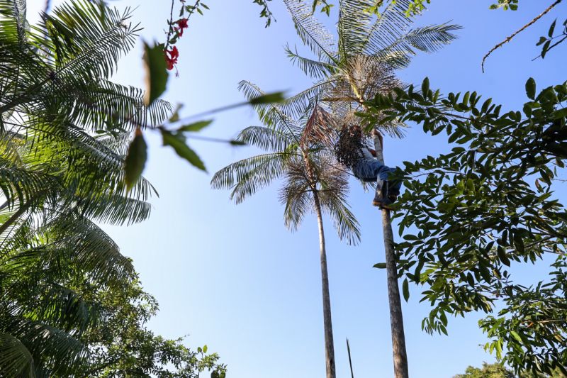  <div class='credito_fotos'>Foto: Pedro Guerreiro / Ag. Pará   |   <a href='/midias/2023/originais/16723_5c241b21-2a56-4e4c-6b18-e4d25c6059bd.jpg' download><i class='fa-solid fa-download'></i> Download</a></div>