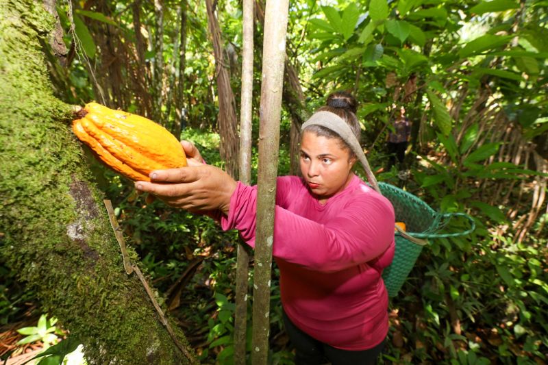  <div class='credito_fotos'>Foto: Pedro Guerreiro / Ag. Pará   |   <a href='/midias/2023/originais/16723_7101c347-88d3-d2a1-974b-969243057d2e.jpg' download><i class='fa-solid fa-download'></i> Download</a></div>