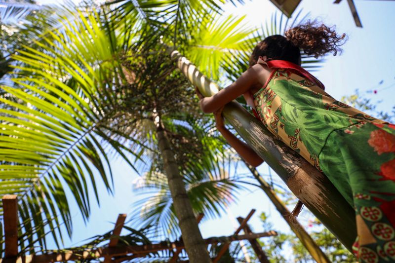  <div class='credito_fotos'>Foto: Pedro Guerreiro / Ag. Pará   |   <a href='/midias/2023/originais/16723_82e99ae8-e8d0-7db5-ccc2-6a999634214c.jpg' download><i class='fa-solid fa-download'></i> Download</a></div>