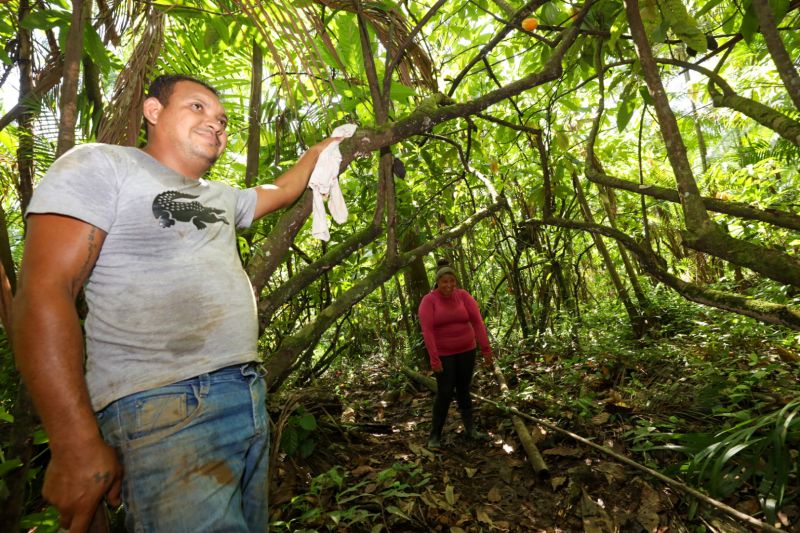  <div class='credito_fotos'>Foto: Pedro Guerreiro / Ag. Pará   |   <a href='/midias/2023/originais/16723_c2f391bf-71d9-20a4-5333-9bc064eae0a7.jpg' download><i class='fa-solid fa-download'></i> Download</a></div>