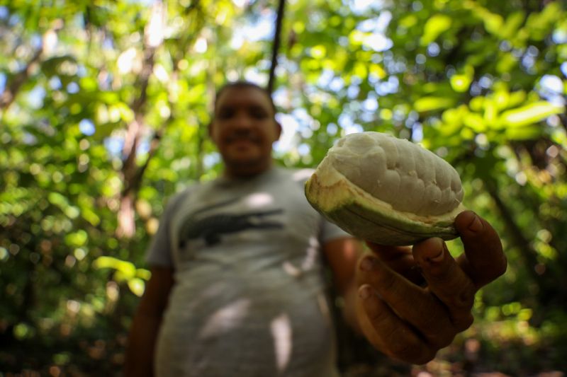  <div class='credito_fotos'>Foto: Pedro Guerreiro / Ag. Pará   |   <a href='/midias/2023/originais/16723_c434befa-41a6-9e52-d98b-b67567d07d22.jpg' download><i class='fa-solid fa-download'></i> Download</a></div>