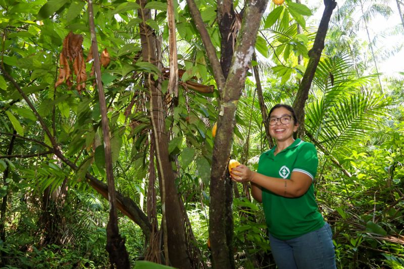  <div class='credito_fotos'>Foto: Pedro Guerreiro / Ag. Pará   |   <a href='/midias/2023/originais/16723_c85533e4-6ab7-8f6f-5671-8f3cfa944b64.jpg' download><i class='fa-solid fa-download'></i> Download</a></div>