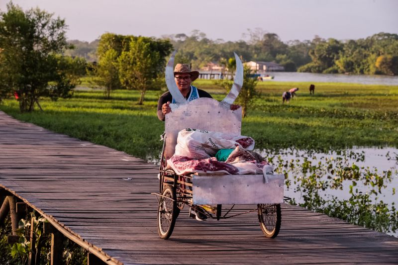  <div class='credito_fotos'>Foto: Marco Santos / Ag. Pará   |   <a href='/midias/2023/originais/16733_60c056ab-9156-31dc-006b-bbdc86c1c4a6.jpg' download><i class='fa-solid fa-download'></i> Download</a></div>