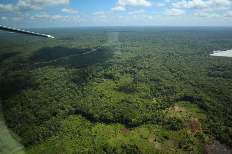 <div class='credito_fotos'>Foto: Rodrigo Pinheiro / Ag.Pará | <a href='/midias/2023/originais/16789_09047fb9-9389-f69b-b8c6-a3aa24481271.jpg' download><i class='fa-solid fa-download'></i> Download</a></div>