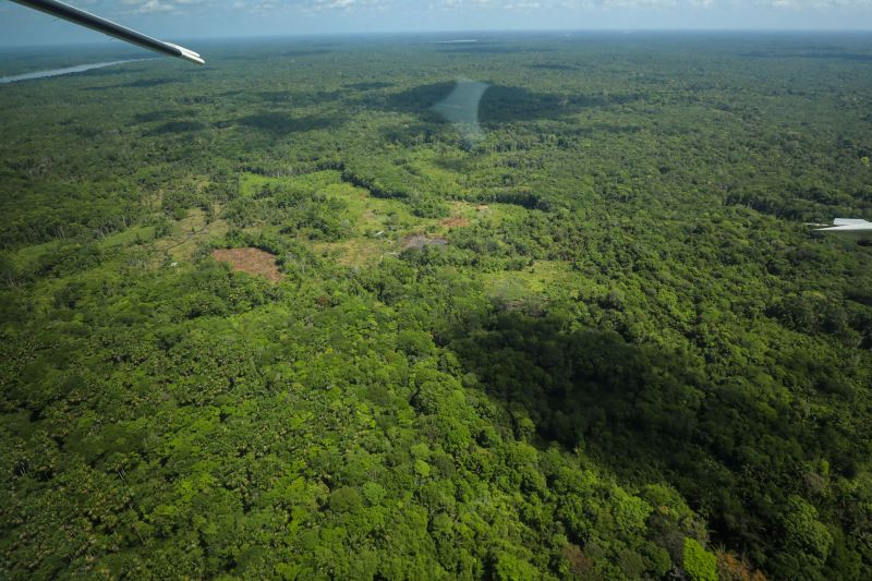 <div class='credito_fotos'>Foto: Rodrigo Pinheiro / Ag.Pará | <a href='/midias/2023/originais/16789_5b9d0a8b-dacc-be69-fcdc-fbb0231ff19c.jpg' download><i class='fa-solid fa-download'></i> Download</a></div>