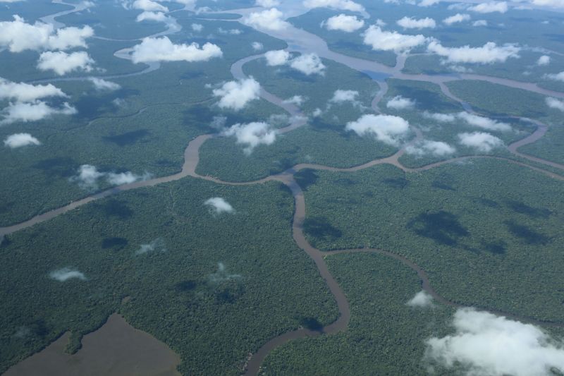 <div class='credito_fotos'>Foto: Rodrigo Pinheiro / Ag.Pará | <a href='/midias/2023/originais/16789_7f774cf1-c93f-b3bc-f7e8-8feaad419b1b.jpg' download><i class='fa-solid fa-download'></i> Download</a></div>