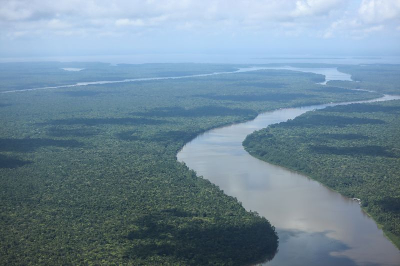 <div class='credito_fotos'>Foto: Rodrigo Pinheiro / Ag.Pará | <a href='/midias/2023/originais/16789_f7cb72de-4e97-07cf-f307-5e5ca9e1cd56.jpg' download><i class='fa-solid fa-download'></i> Download</a></div>