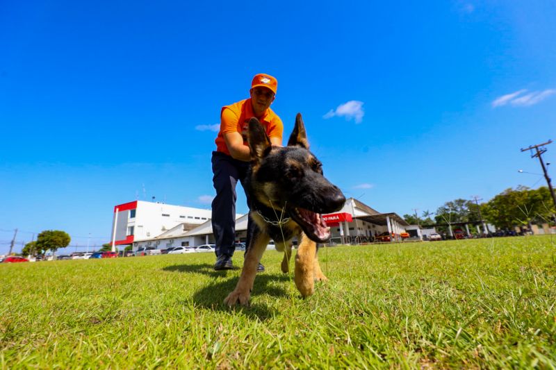  <div class='credito_fotos'>Foto: Marcelo Seabra / Ag. Pará   |   <a href='/midias/2023/originais/16794_bc95b50a-1f9d-2671-6d39-8e5c85f3d6fd.jpg' download><i class='fa-solid fa-download'></i> Download</a></div>