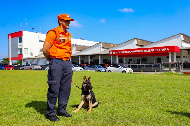  <div class='credito_fotos'>Foto: Marcelo Seabra / Ag. Pará   |   <a href='/midias/2023/originais/16794_ca683652-dca9-eb22-edd0-3aaf255847ed.jpg' download><i class='fa-solid fa-download'></i> Download</a></div>