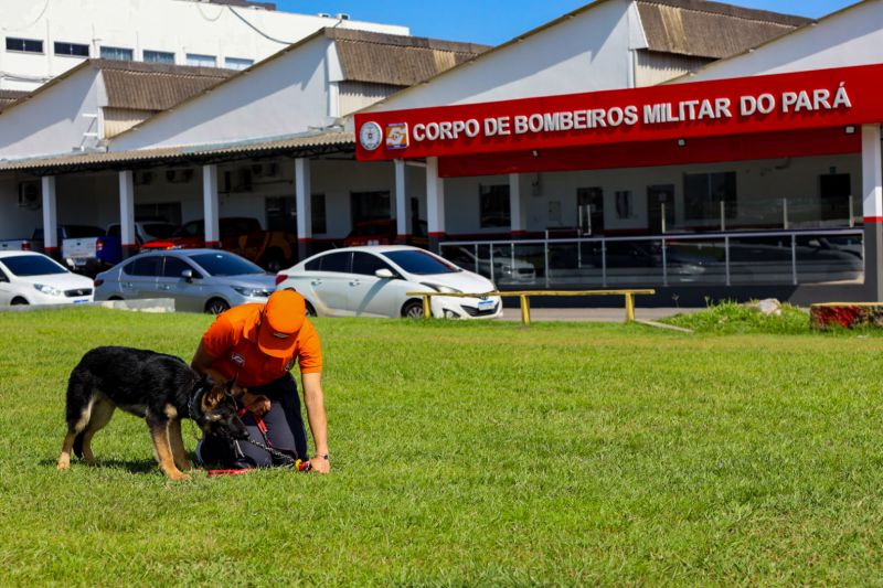  <div class='credito_fotos'>Foto: Marcelo Seabra / Ag. Pará   |   <a href='/midias/2023/originais/16794_e8d81c46-4c2f-2056-22be-58ec91a3aeec.jpg' download><i class='fa-solid fa-download'></i> Download</a></div>