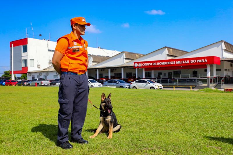  <div class='credito_fotos'>Foto: Marcelo Seabra / Ag. Pará   |   <a href='/midias/2023/originais/16794_ecddbca3-cc3f-0bbc-f177-be332697b4be.jpg' download><i class='fa-solid fa-download'></i> Download</a></div>