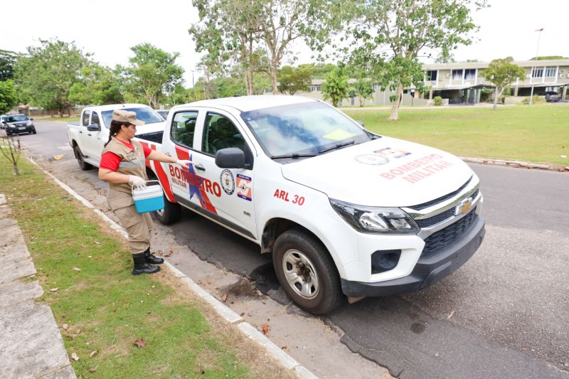<div class='credito_fotos'>Foto: Bruno Cecim / Ag.Pará | <a href='/midias/2023/originais/16801_ae2b7720-78d3-c7a1-0498-fae8d44b195e.jpg' download><i class='fa-solid fa-download'></i> Download</a></div>