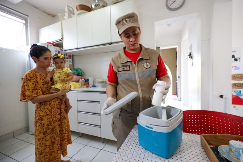 <div class='credito_fotos'>Foto: Bruno Cecim / Ag.Pará | <a href='/midias/2023/originais/16801_f2428594-c854-1561-f09c-25a7b9910ee4.jpg' download><i class='fa-solid fa-download'></i> Download</a></div>