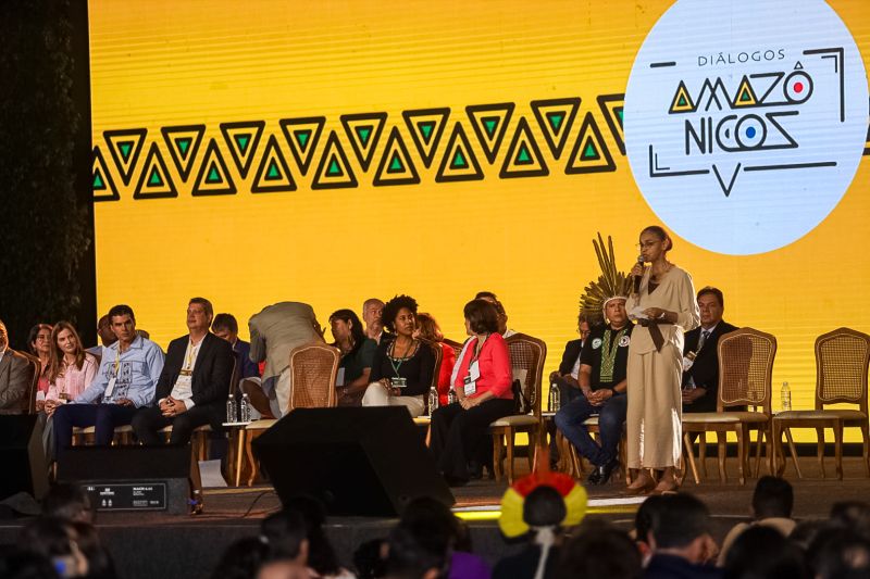 Ministra Marina Silva: expectativas da sociedade serão apresentadas aos participantes da Cúpula da Amazônia