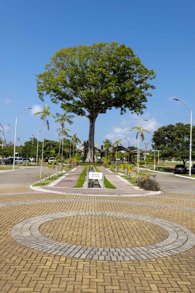  <div class='credito_fotos'>Foto: Marco Santos / Ag. Pará   |   <a href='/midias/2023/originais/17115_49f61653-ed7a-3c65-bff7-2a1bd9da2adc.jpg' download><i class='fa-solid fa-download'></i> Download</a></div>