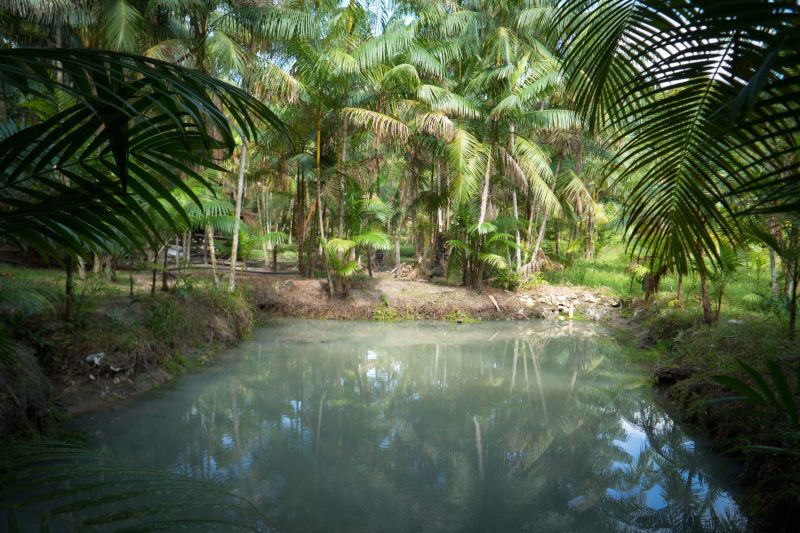  <div class='credito_fotos'>Foto: Marcelo Souza /Ag.Pará   |   <a href='/midias/2023/originais/17124_623cd6a6-549a-5344-aca9-654fc29b9746.jpg' download><i class='fa-solid fa-download'></i> Download</a></div>