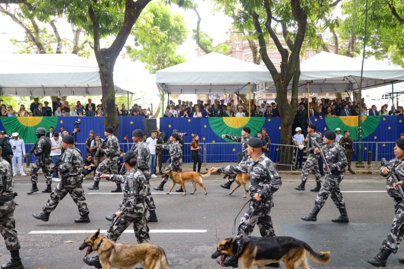  <div class='credito_fotos'>Foto: Pedro Guerreiro / Ag. Pará   |   <a href='/midias/2023/originais/17131_ae3c91a8-36b8-ff01-6466-f8913f7daaf0.jpg' download><i class='fa-solid fa-download'></i> Download</a></div>