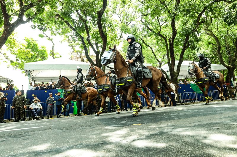  <div class='credito_fotos'>Foto: Pedro Guerreiro / Ag. Pará   |   <a href='/midias/2023/originais/17131_df49032e-4b66-5a25-fa46-583a9792fe6c.jpg' download><i class='fa-solid fa-download'></i> Download</a></div>