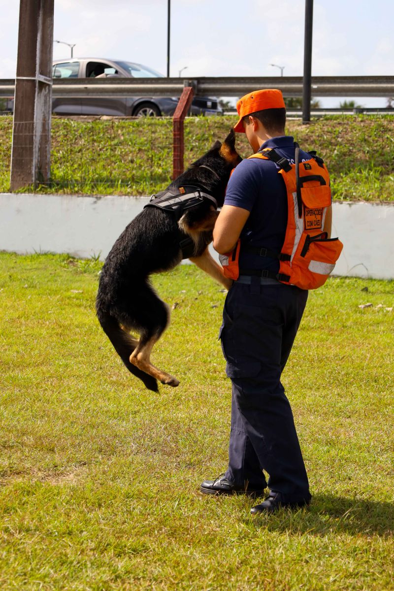  <div class='credito_fotos'>Foto: Pedro Guerreiro / Ag. Pará   |   <a href='/midias/2023/originais/17204_23a3505b-f00d-ca5b-c03f-ecc79d87c6f4.jpg' download><i class='fa-solid fa-download'></i> Download</a></div>